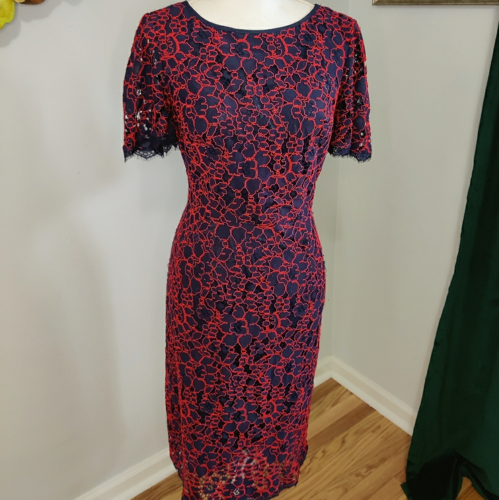 Flutter sleeve lace sheath dress